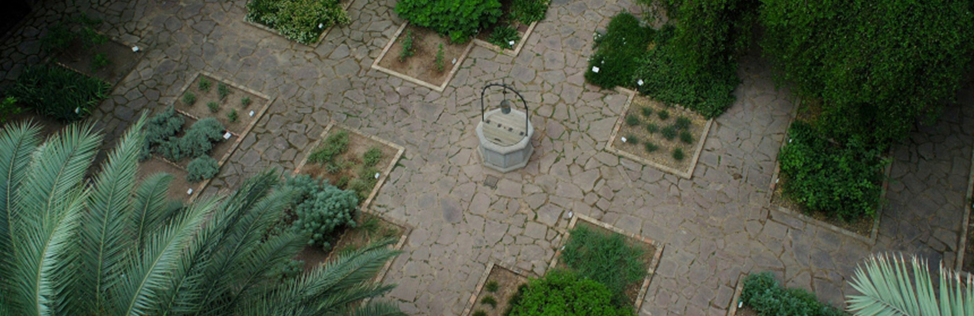 Desarrollo Medioambiental