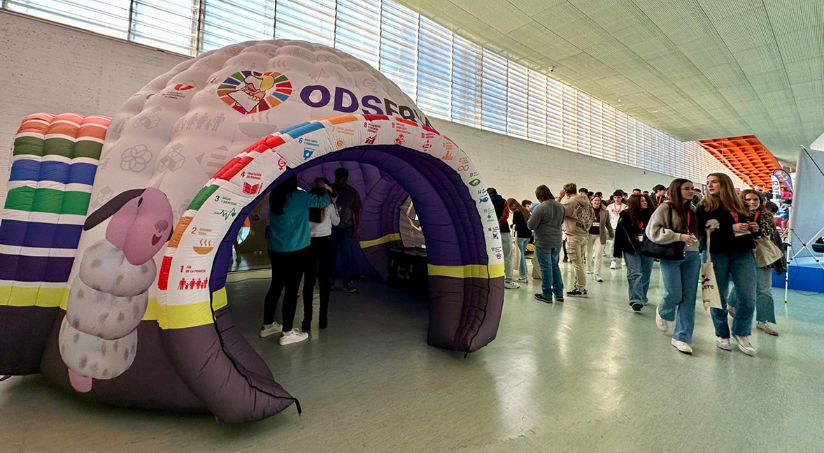 Puntos ODS y Formación